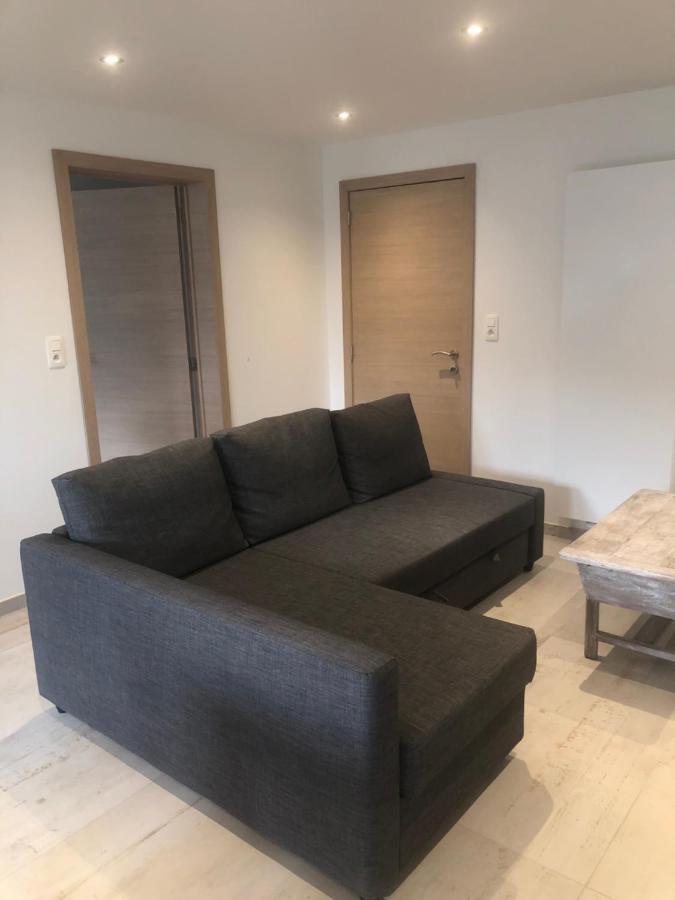 Pegasus I - 2 Chambres De Luxe, Cuisine, Salon, 2 Terrasses Et Sauna Vielsalm Εξωτερικό φωτογραφία